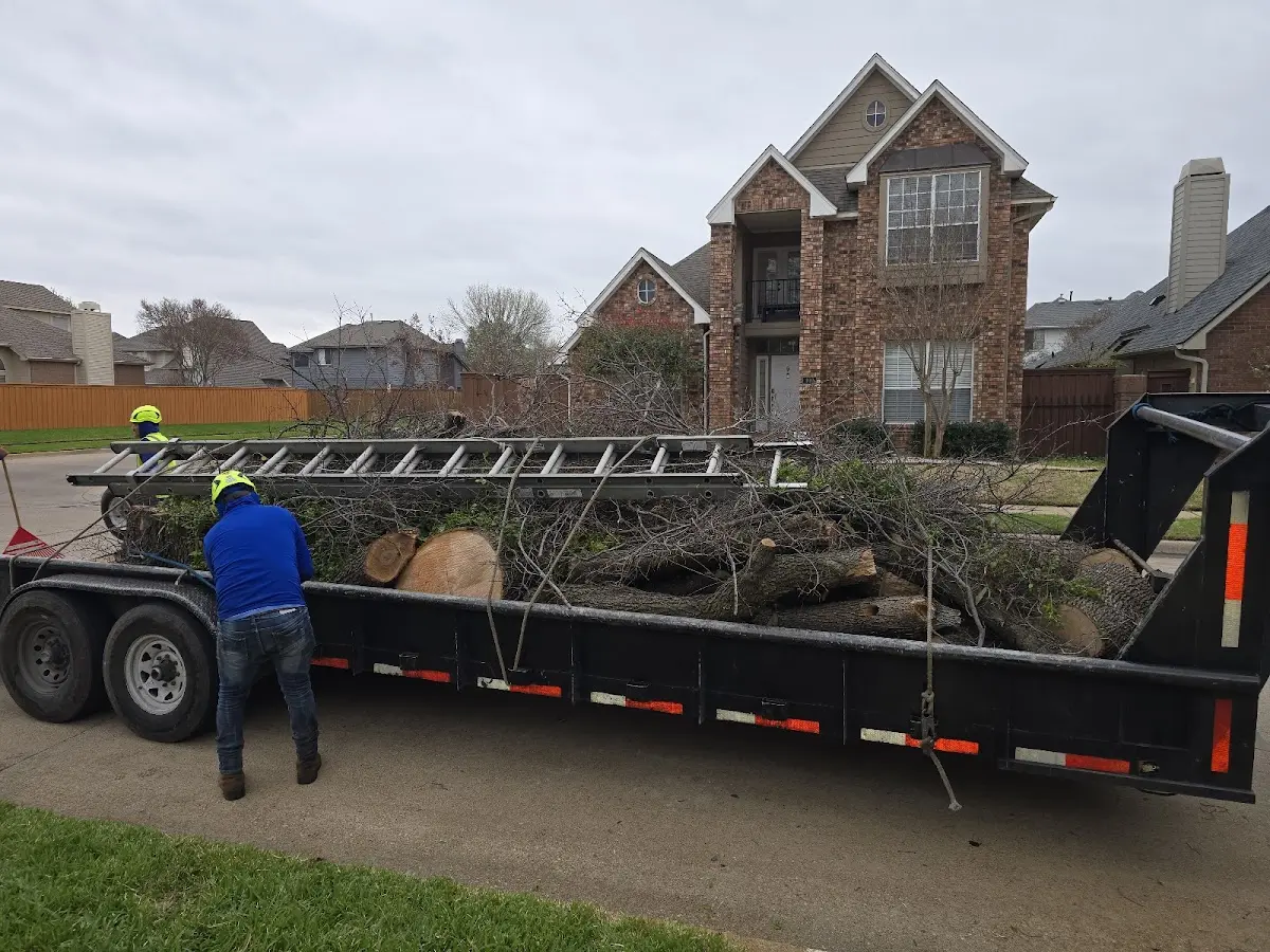 Expert Lot Clearing with proper safety equipment in Flynn
